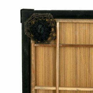 Carrom_Board_Paras_JuniorIvory_BackTop