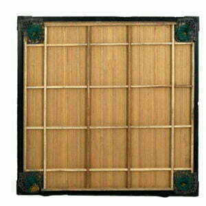 Carrom_Board_Paras_Teens_Back