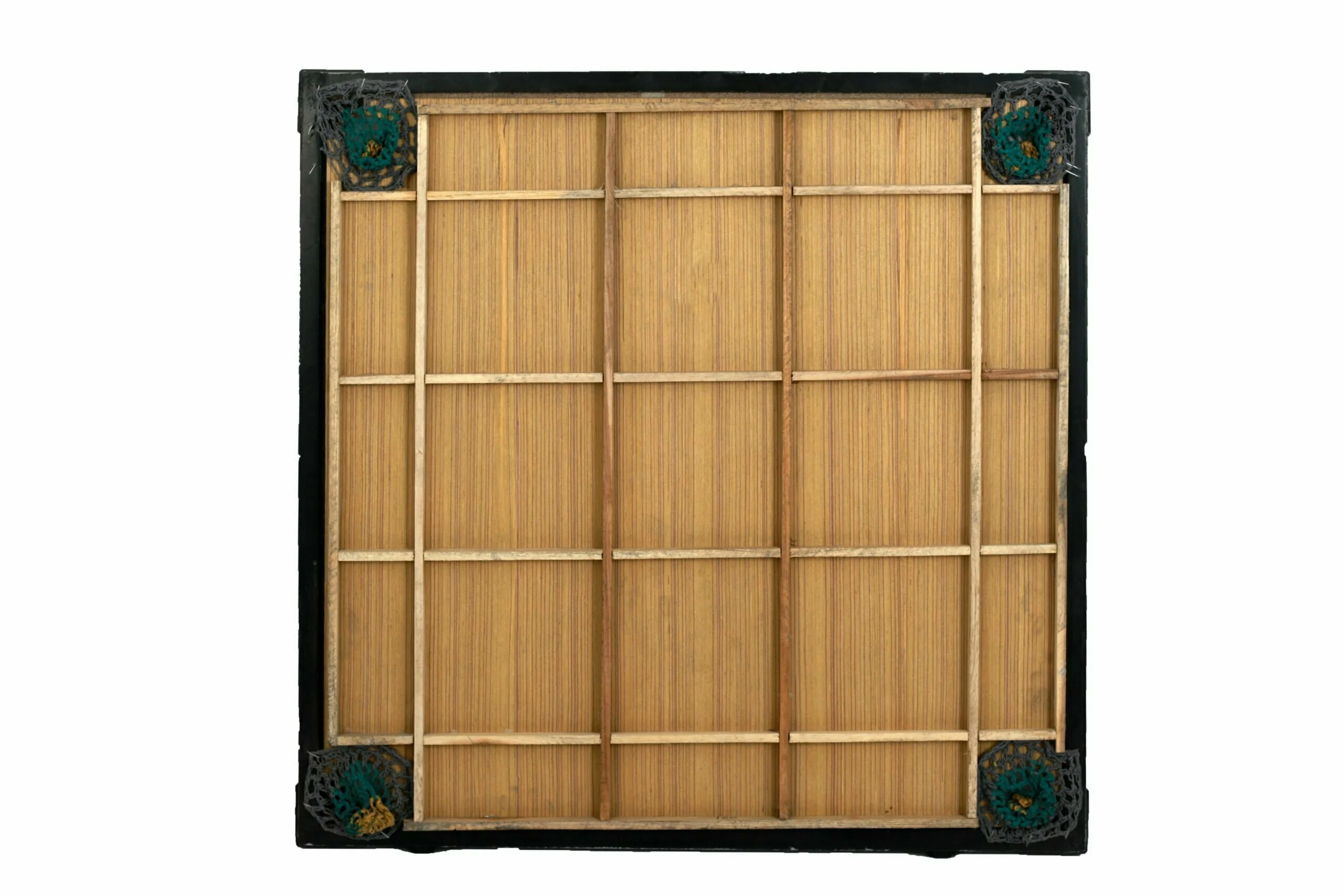 Carrom_Board_Paras_Teens_Back