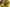 Football_Indpro_KidStar_YellowNavy_5_Front
