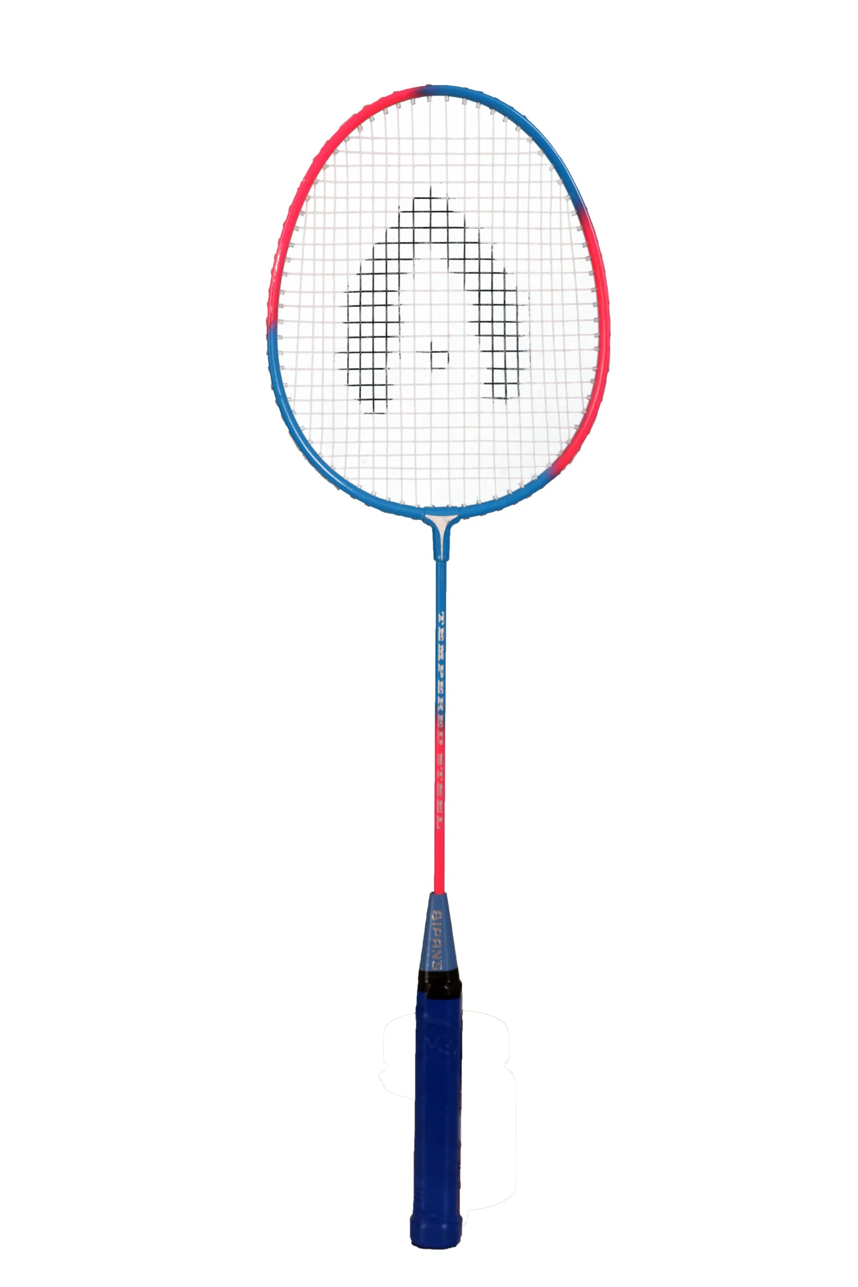 Badminton_Racket_Bipans_Kadet_BlueFPink_Profile