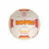 Handball_Indpro_Tack_WhitePink_Women_Profile